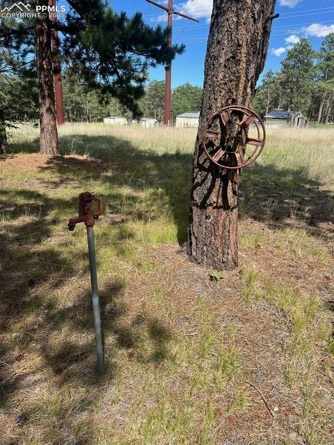 Image 20 of 20: Other