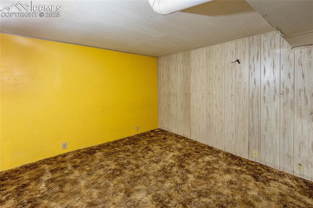 Image 14 of 30: Carpeted spare room featuring wood walls and a textured ceiling