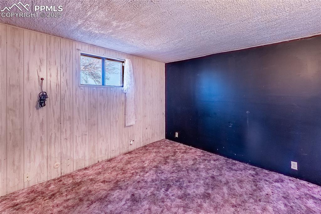 Image 15 of 30: Carpeted spare room with wood walls and a textured ceiling