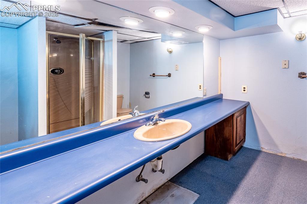 Image 20 of 30: Bathroom with vanity, dark carpet, and a stall shower