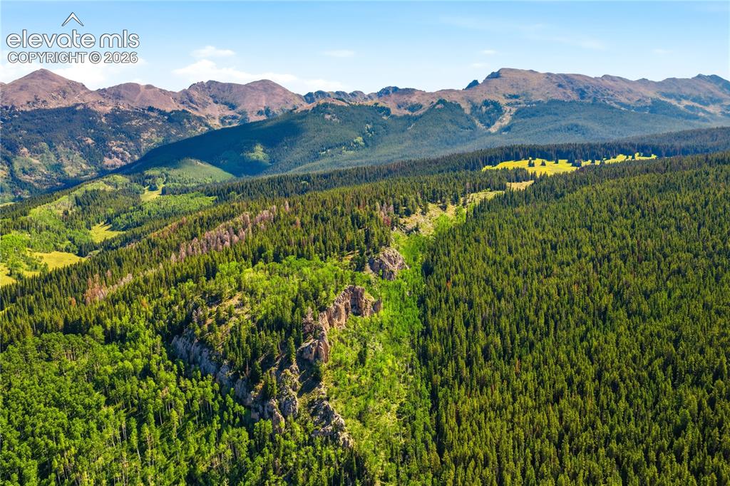 Image 12 of 28: View
