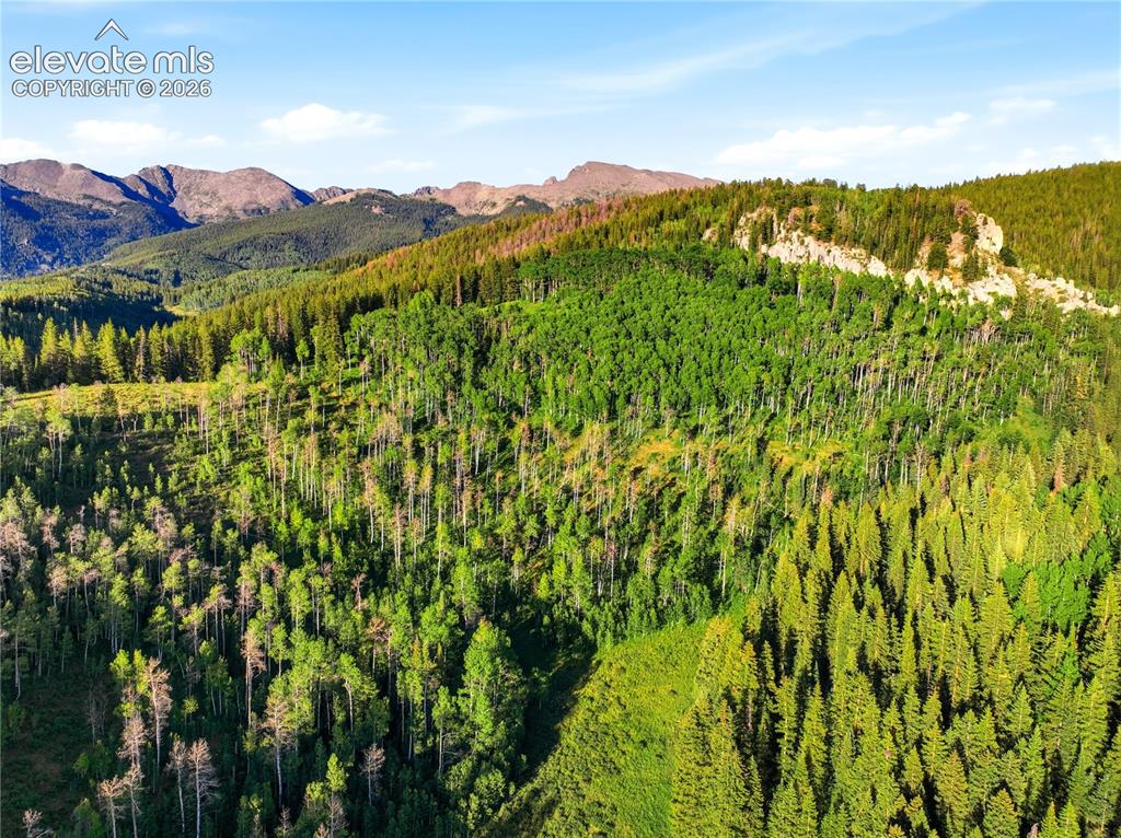 Image 9 of 28: View