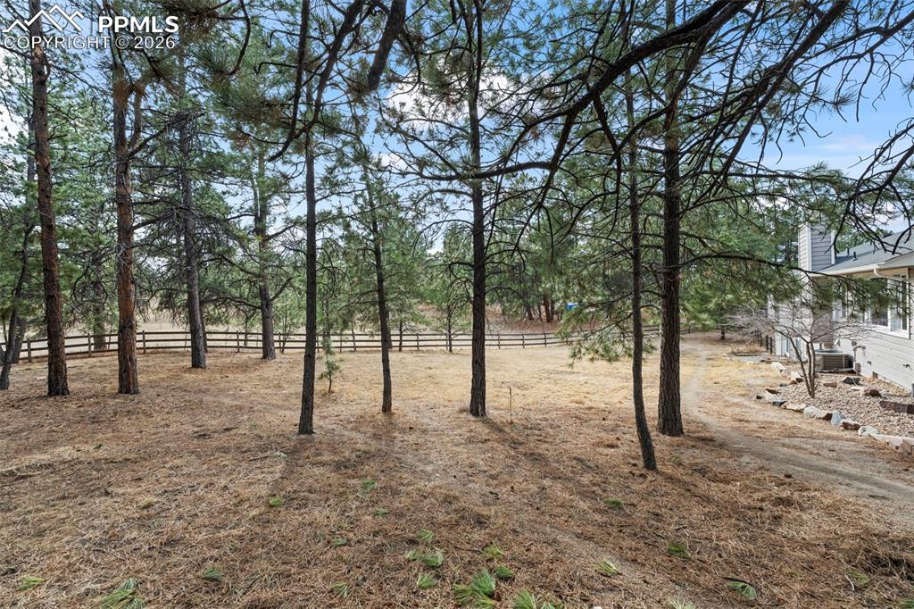 Image 35 of 50: Yard