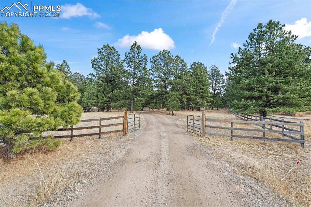 Image 38 of 50: Community