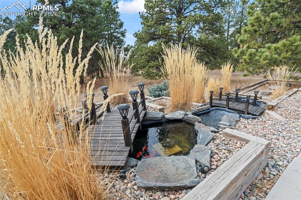 Image 5 of 50: Other