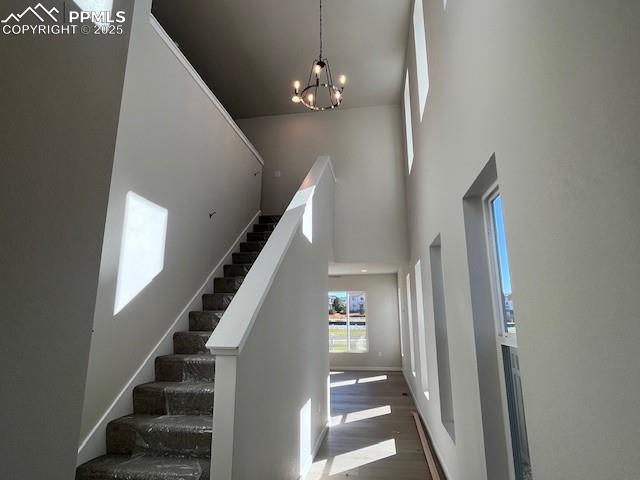 Image 2 of 24: Other