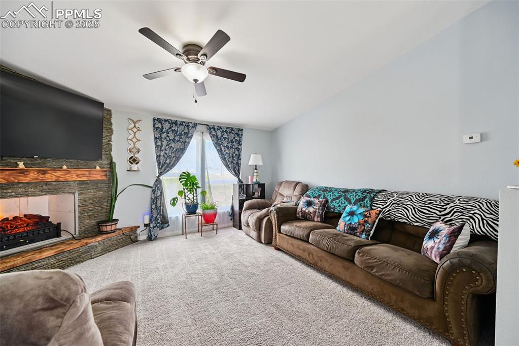 Image 10 of 48: Freshly Painted and New Carpet