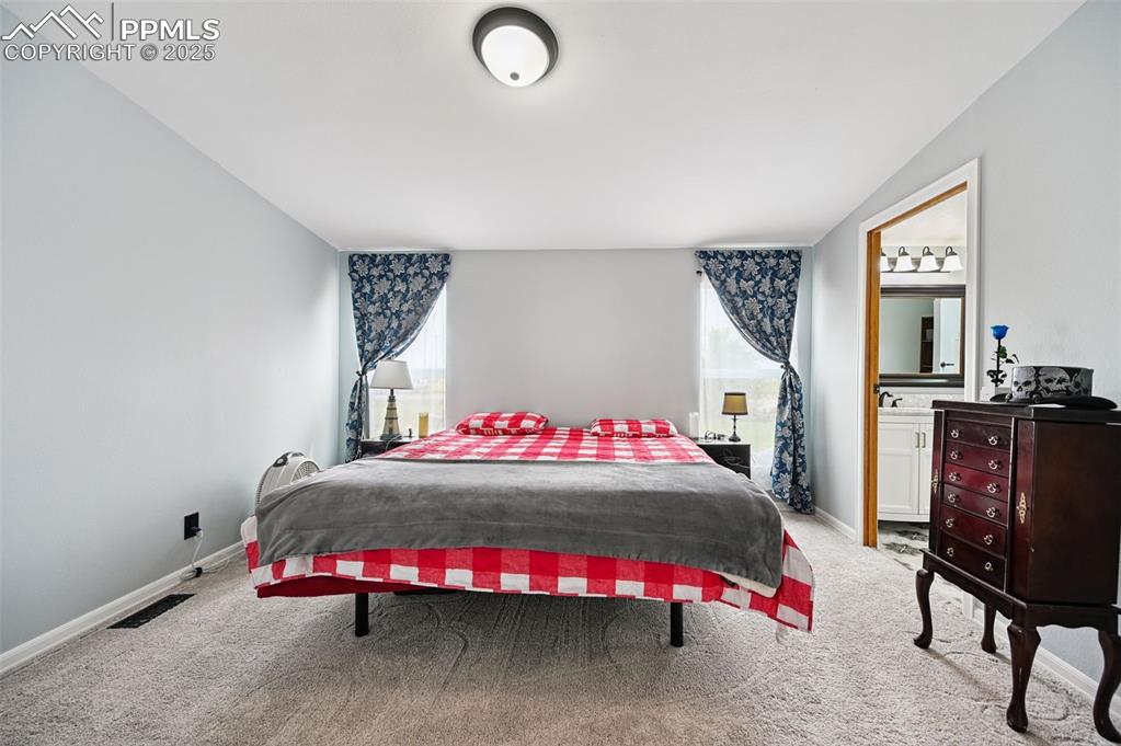 Image 20 of 48: Fresh Paint and New Carpet