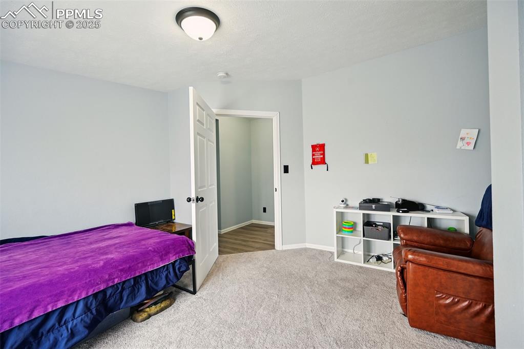 Image 32 of 48: Freshly Painted and New Carpet