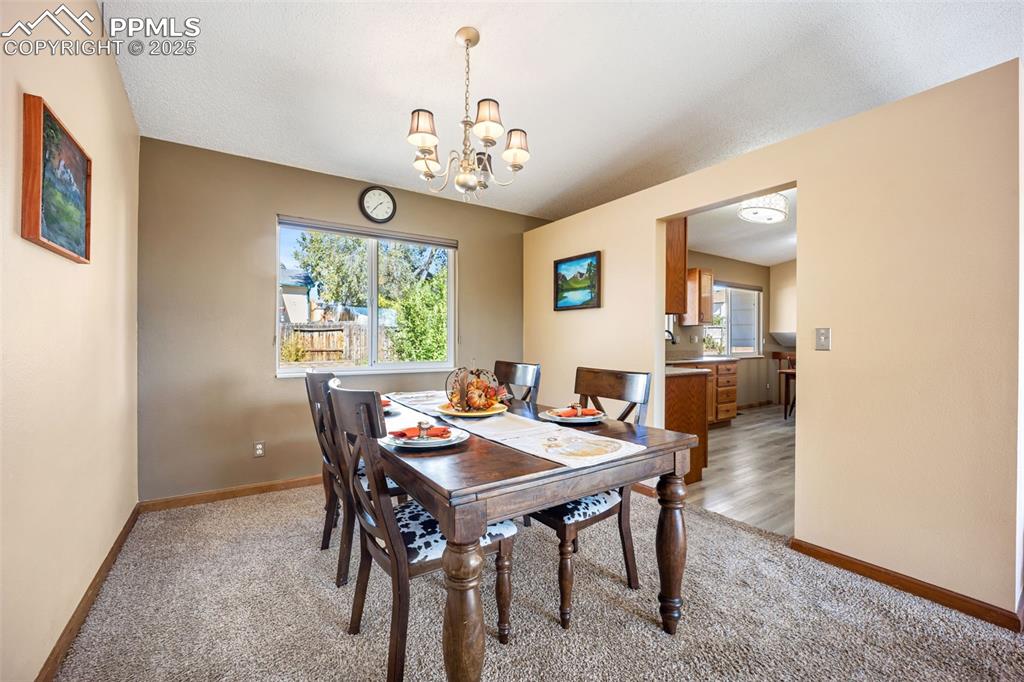 Image 10 of 47: Dining room with plenty of natural light, light colored carpet, and a chand
