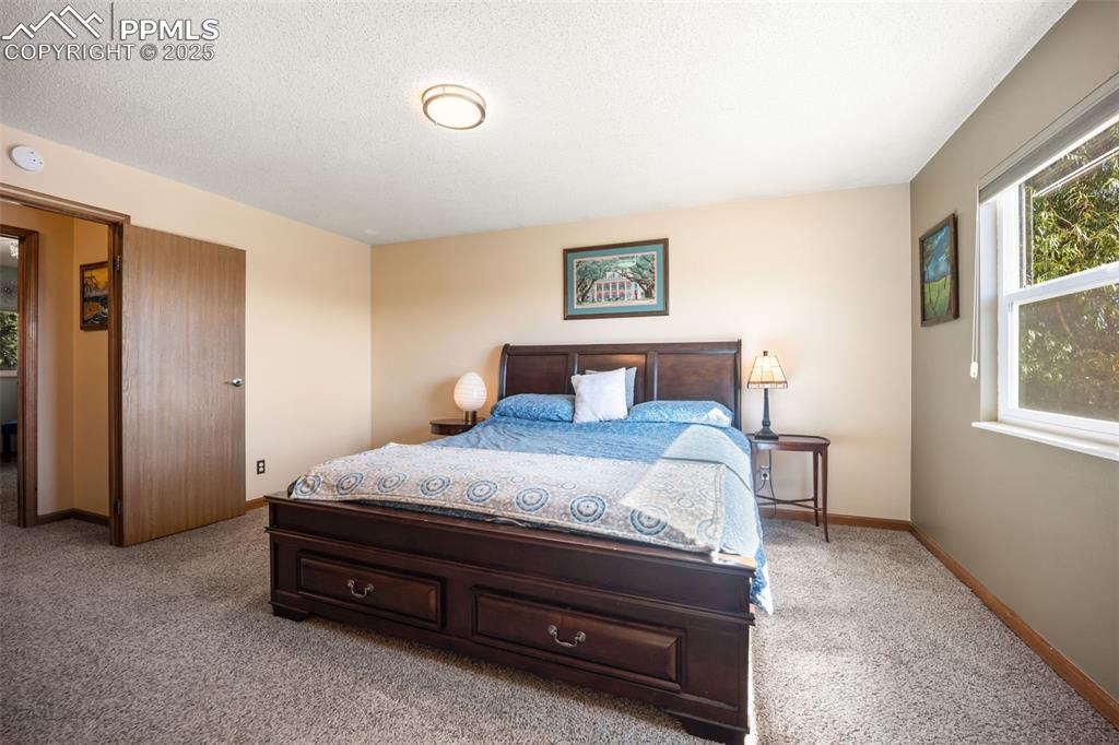 Image 14 of 47: Bedroom featuring multiple windows, carpet, and a textured ceiling