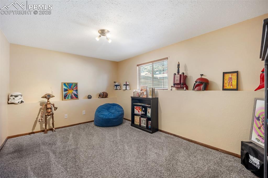Image 28 of 47: Misc room featuring a textured ceiling and carpet