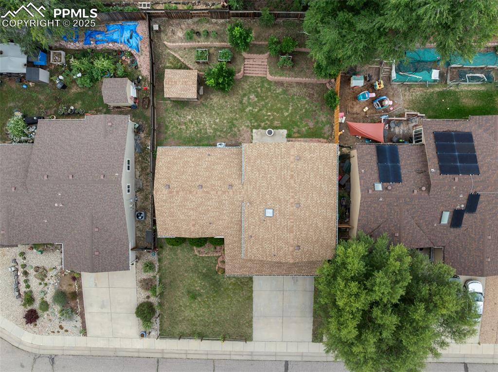 Image 43 of 47: Bird