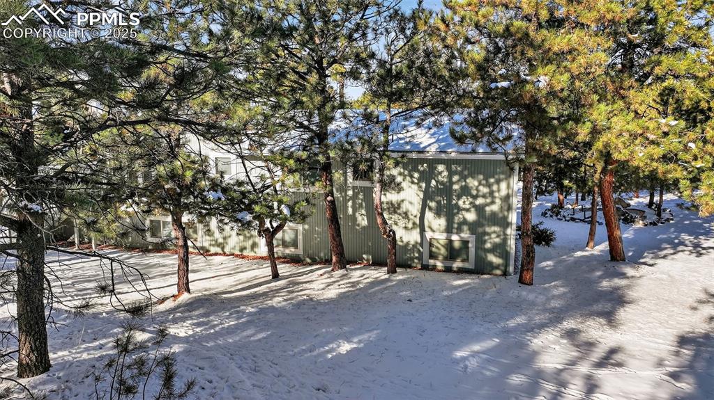 Image 35 of 38: Yard