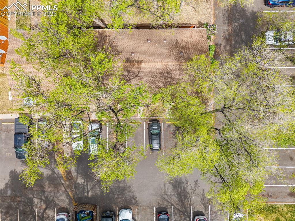 Image 26 of 29: Aerial View