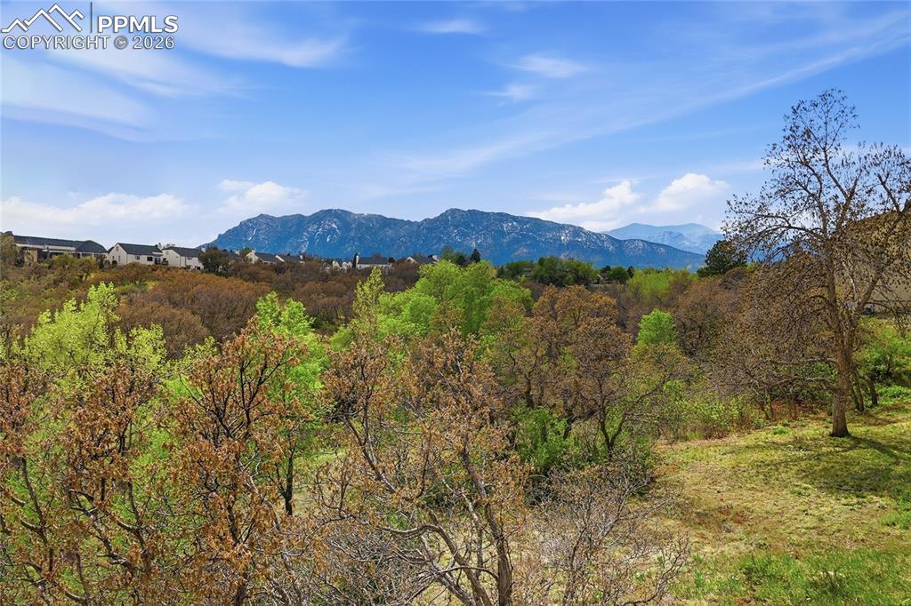 Image 21 of 49: View