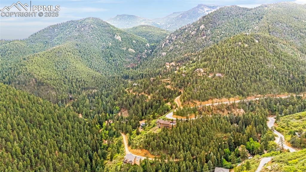 Image 41 of 41: Mountain view with a heavily wooded area