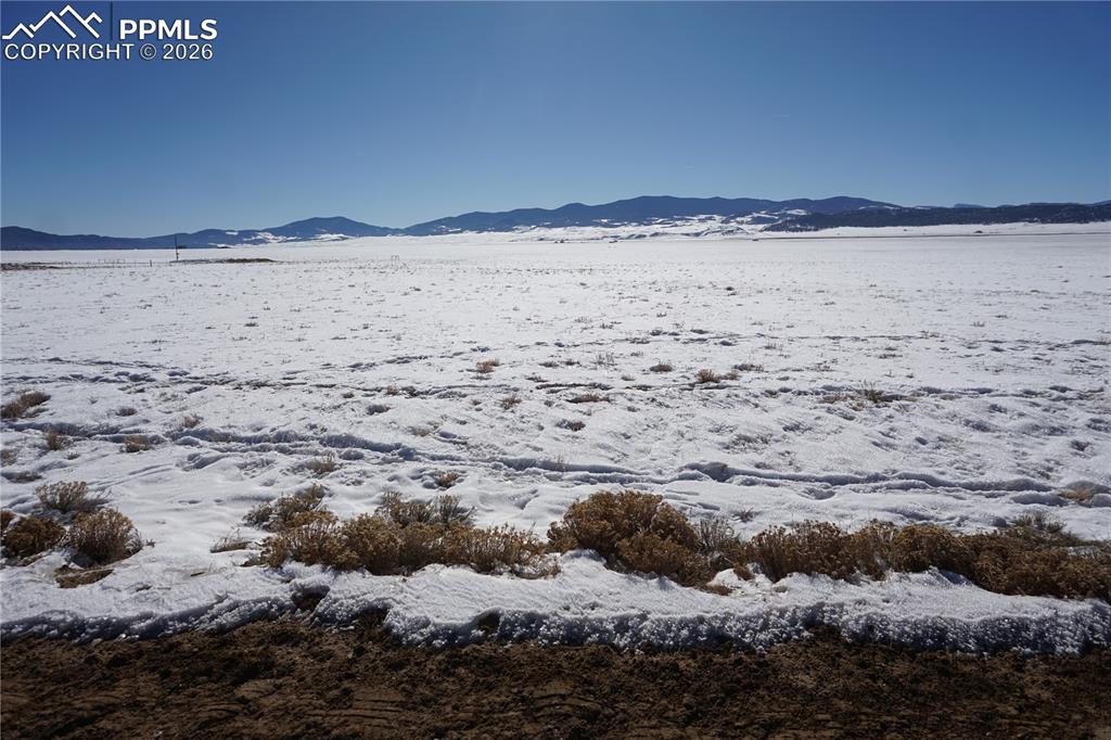 Image 17 of 21: In the middle of the property looking south