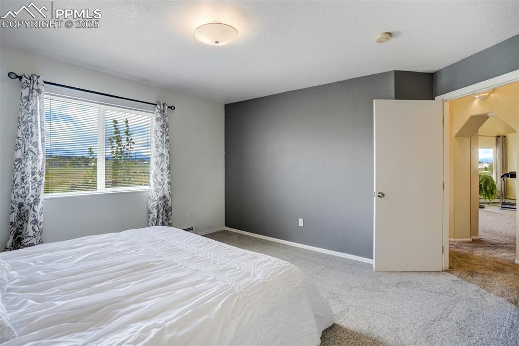 Image 17 of 50: Carpeted bedroom with multiple windows and arched walkways