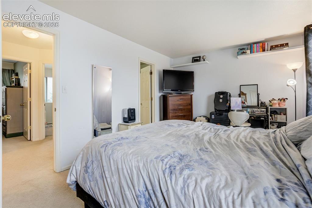 Image 19 of 43: Plush carpeting, recessed ceiling lighting, and built-in shelving