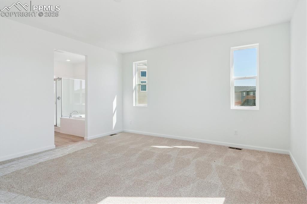 Image 14 of 20: Other