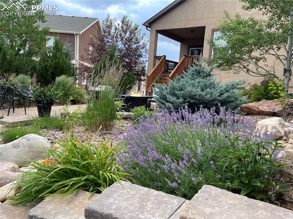 Image 34 of 47: View of yard with stairs
