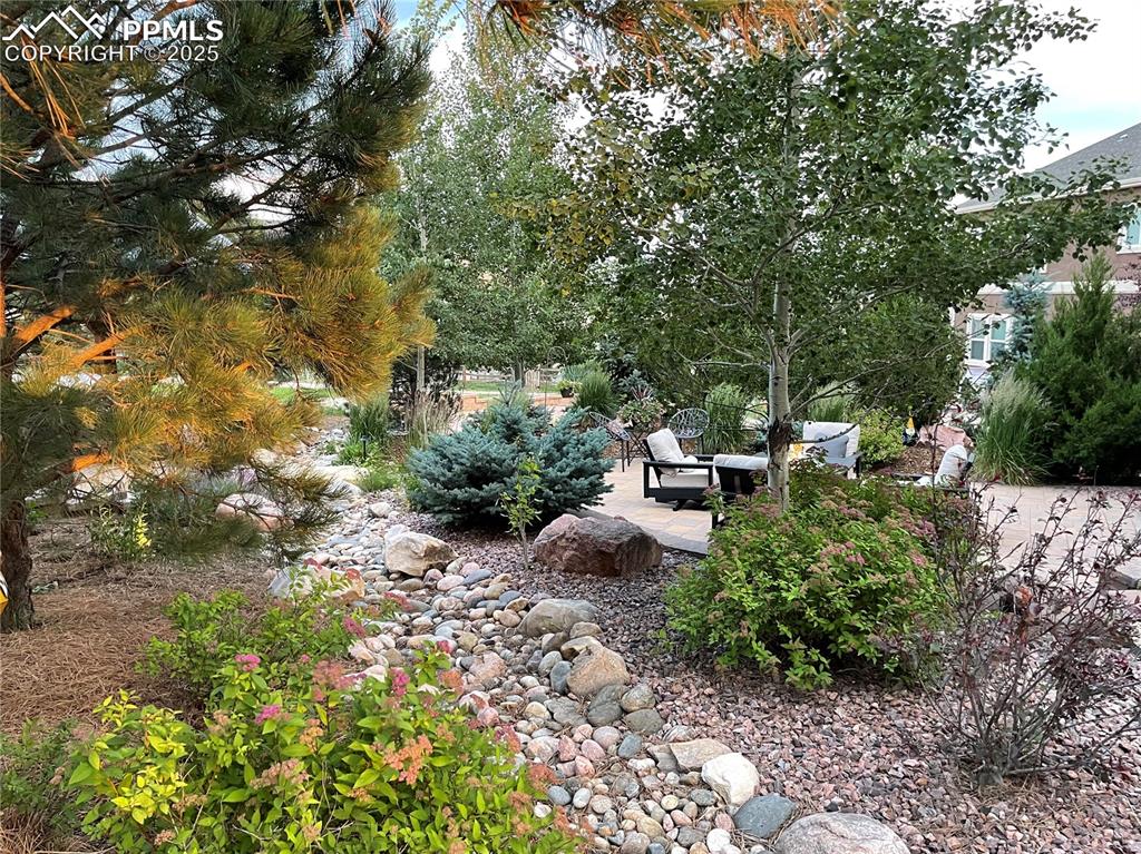 Image 39 of 47: View of yard with a patio area