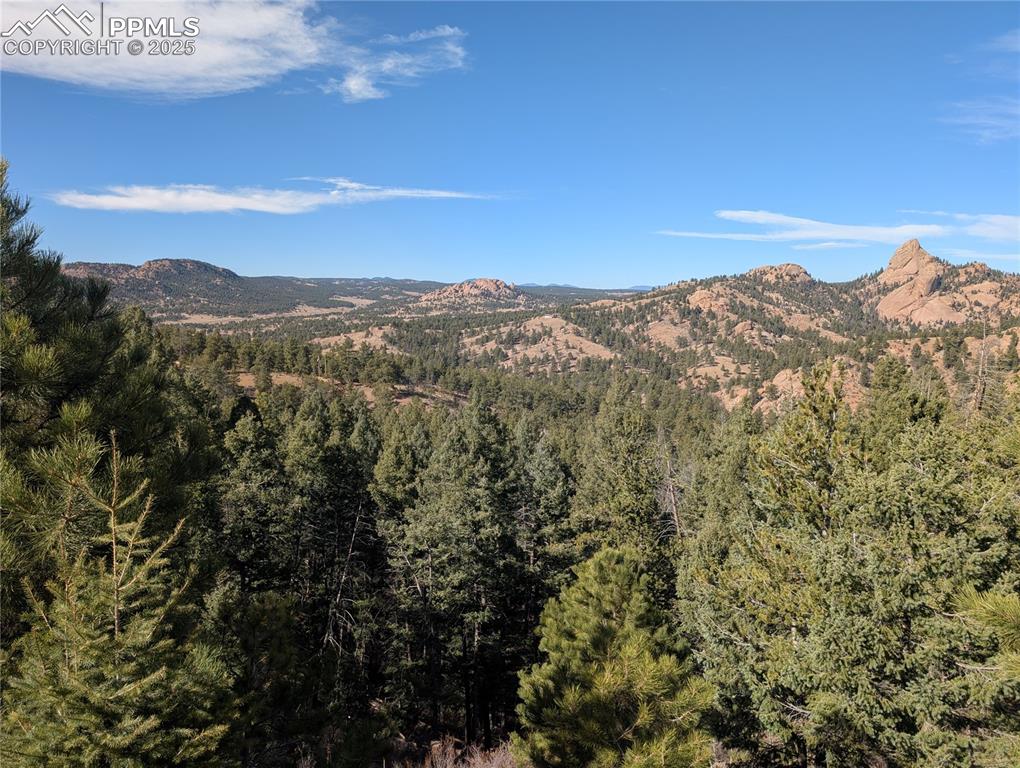 Image 10 of 25: View