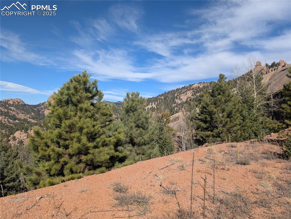 Image 12 of 25: View