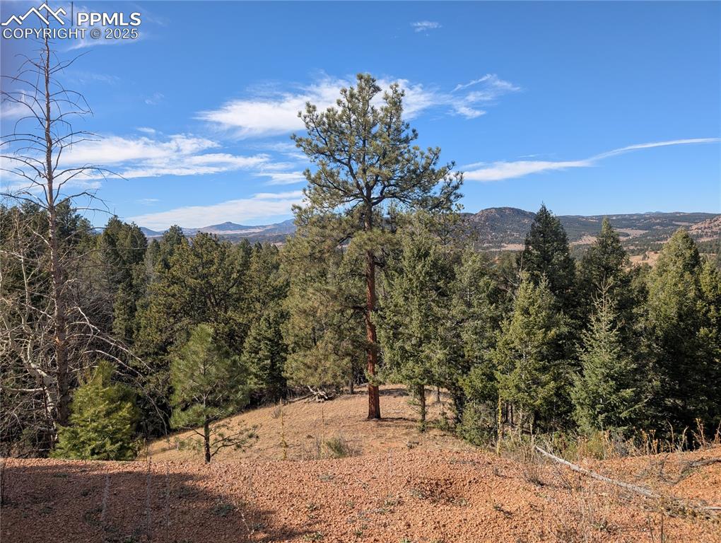 Image 15 of 25: View