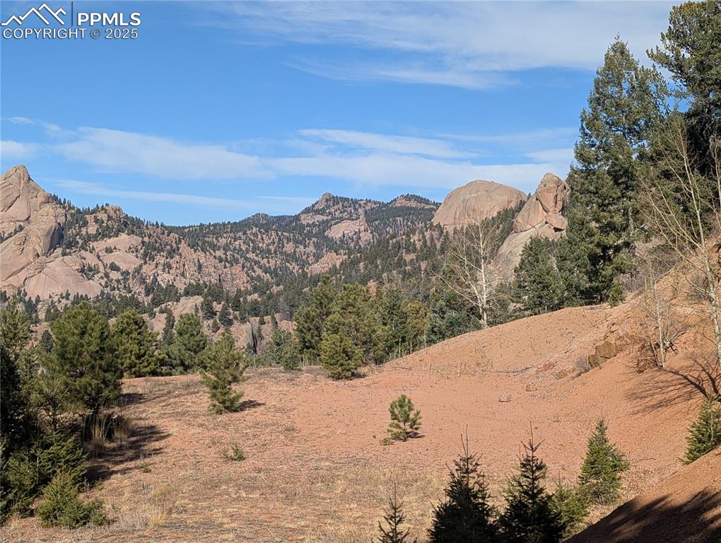 Image 6 of 25: View