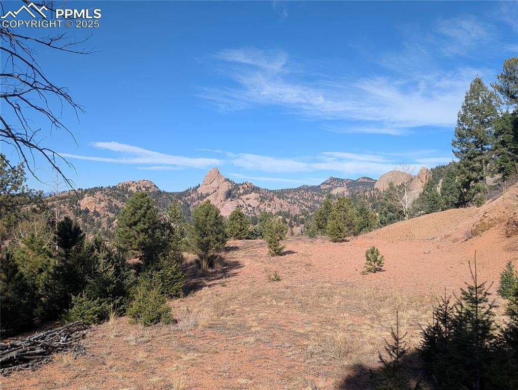 Image 7 of 25: View