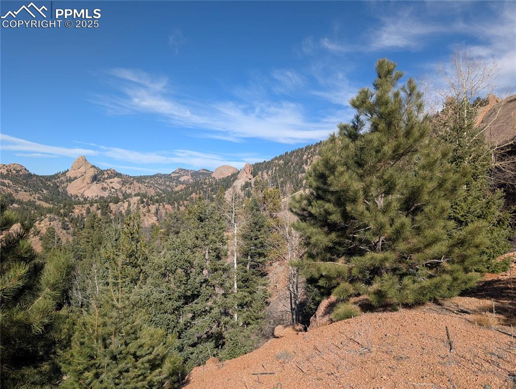 Image 9 of 25: View