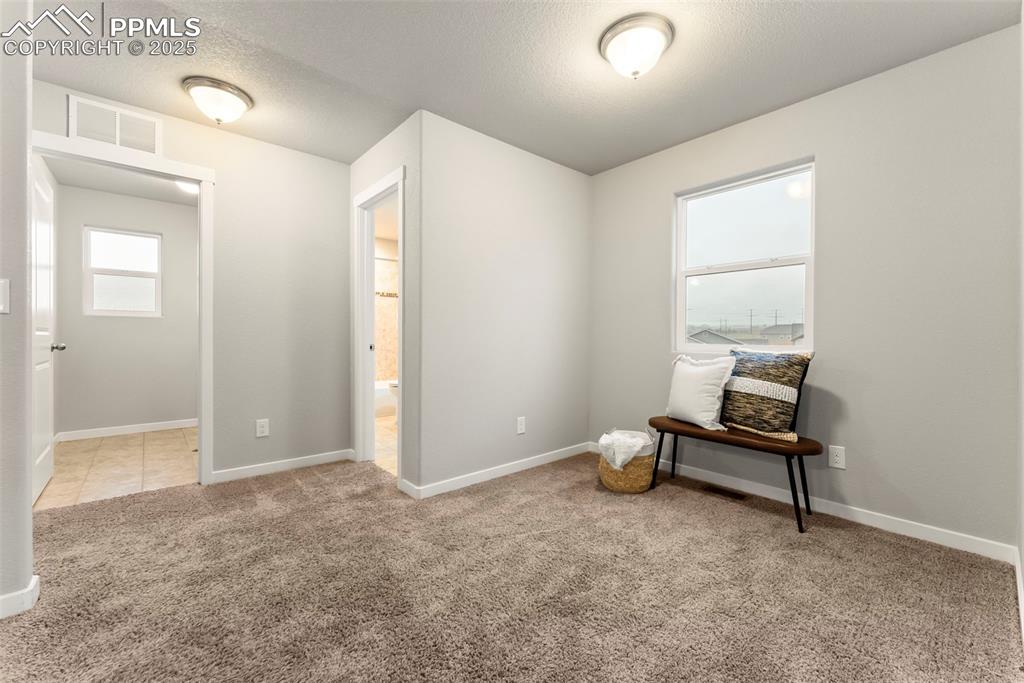 Image 23 of 50: Empty room with a textured ceiling, light carpet, and plenty of natural lig