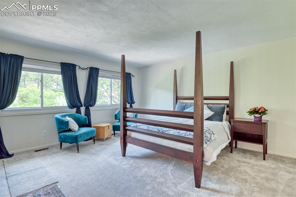 Image 19 of 50: Bedroom featuring multiple windows, carpet floors, and baseboards