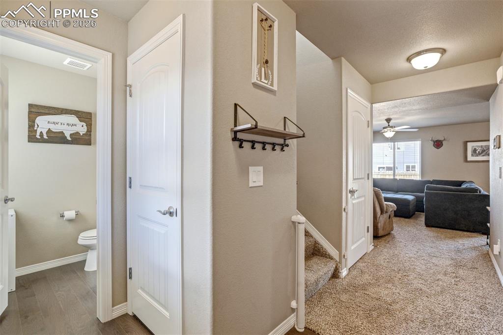 Image 3 of 47: Entry