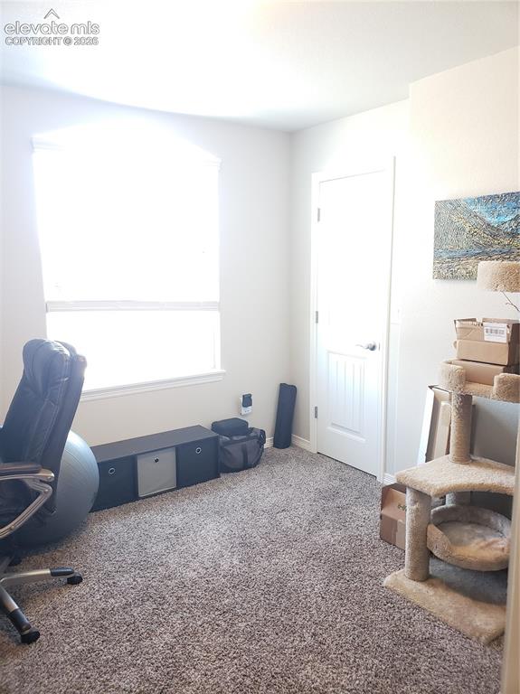Image 15 of 34: Carpeted room with a sunlit window and a classic white panel door