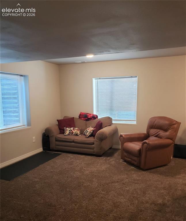 Image 20 of 34: Carpeted room featuring two windows with horizontal blinds, neutral-toned w