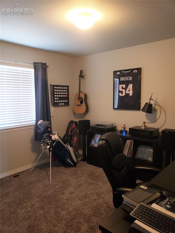 Image 23 of 34: Room with textured carpet flooring, light-colored walls, and a window with 