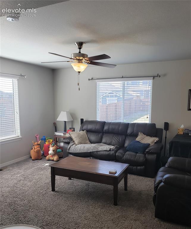 Image 31 of 34: Living area featuring a ceiling fan with integrated lighting, textured carp