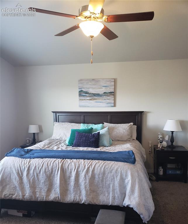 Image 32 of 34: Bedroom featuring a dark wood bed frame, neutral wall color, and a ceiling 