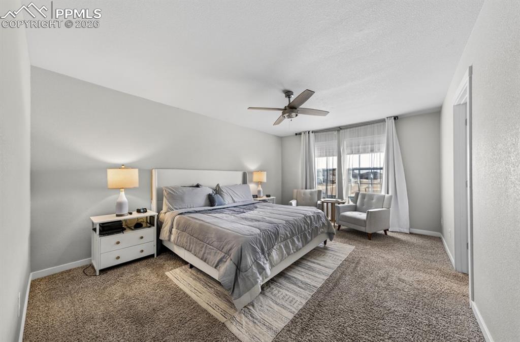 Image 12 of 28: Primary