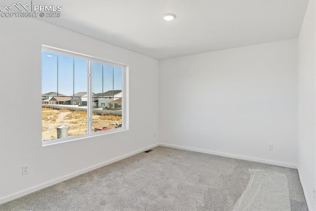 Image 13 of 22: Other