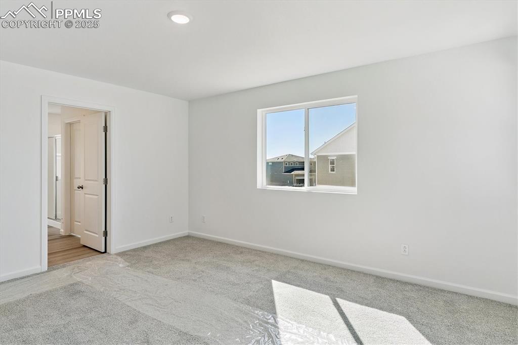 Image 17 of 22: Other