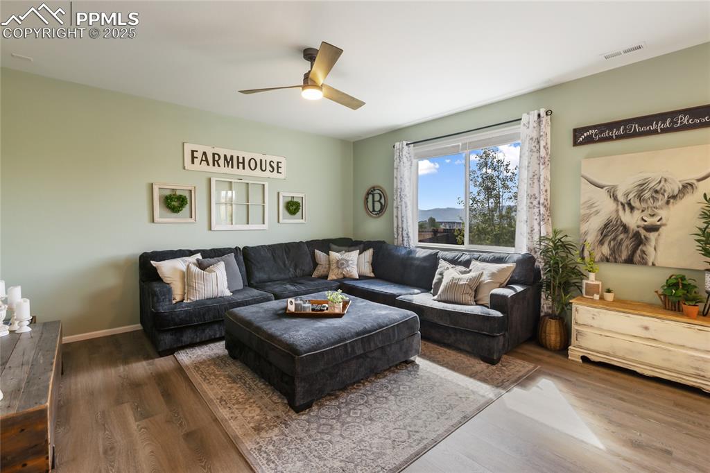 Image 12 of 48: Family Room Tons Of Natural Light