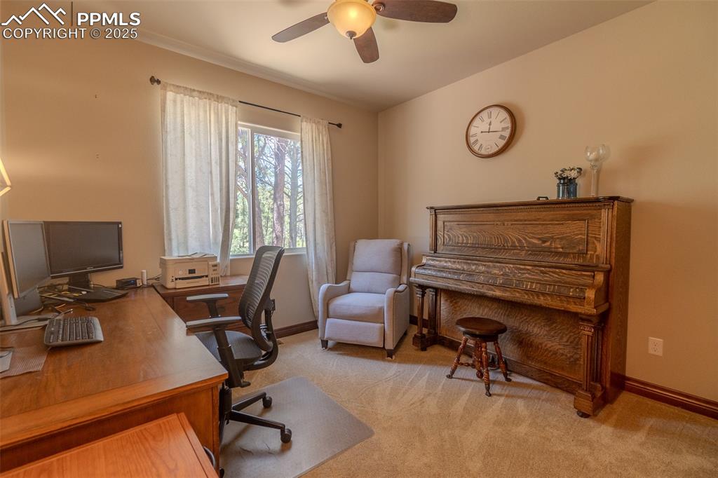 Image 28 of 50: Main level bedroom