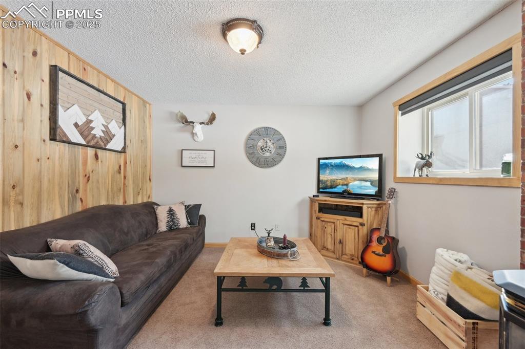 Image 32 of 50: Living room with a textured ceiling, carpet, and wooden walls