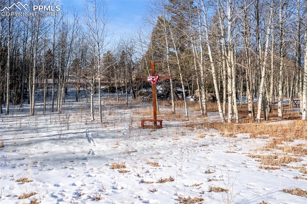 Image 21 of 25: View of yard covered in snow