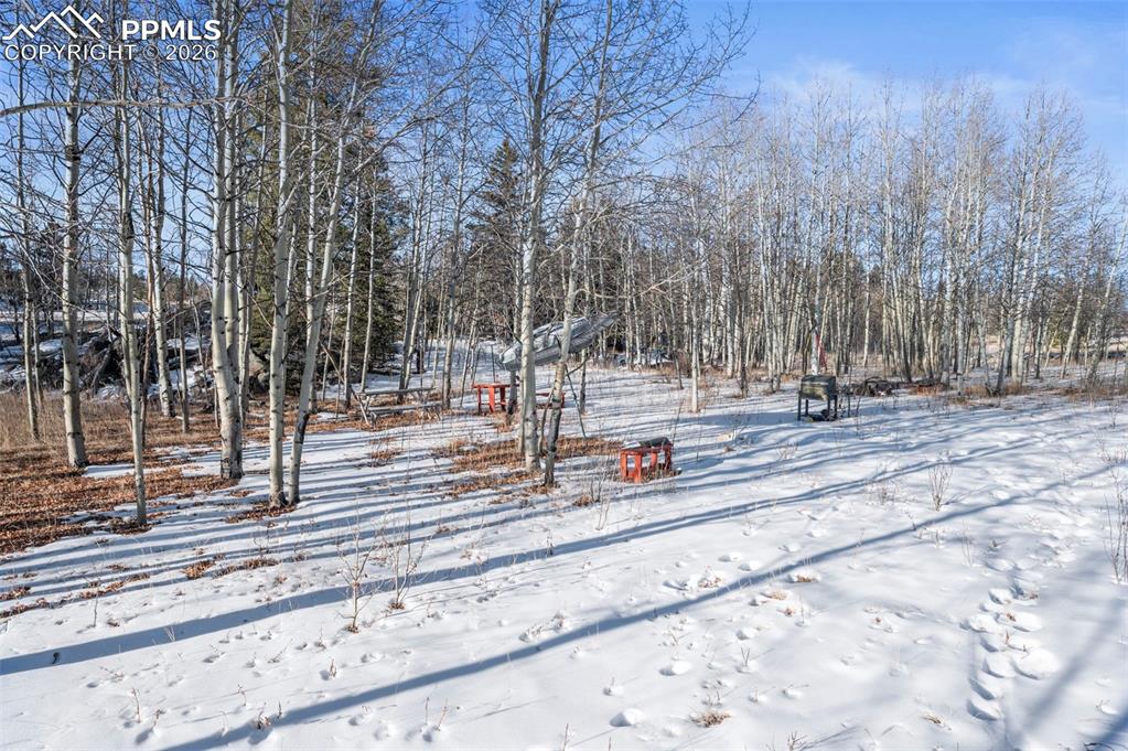 Image 22 of 25: View of yard