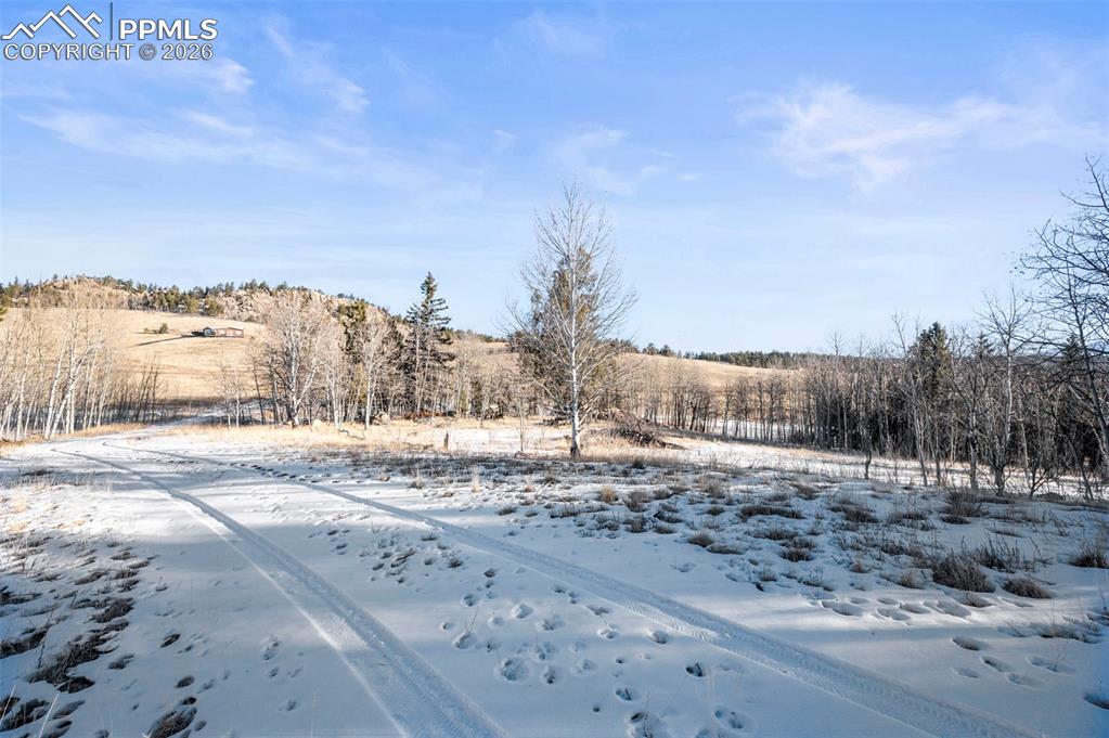Image 24 of 25: View of snowy yard
